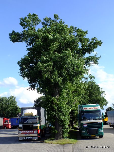 DSCF4216.jpg