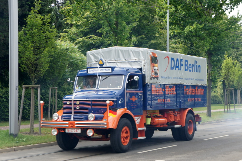 DSC00172 k.jpg