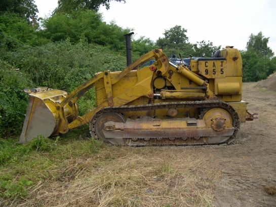Cat 955 1.jpg