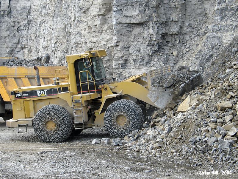 Cat980F_03.jpg