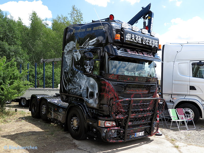 Maik Terpe, Scania R TL Streamline - 2.jpg