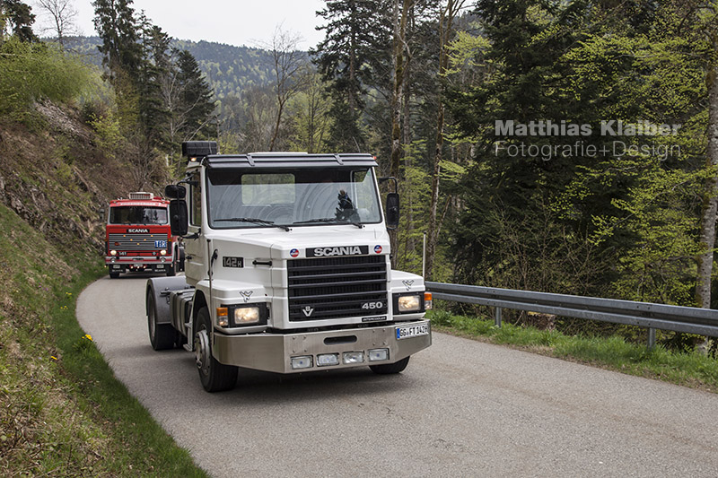 blackforest_run2015_0125.jpg