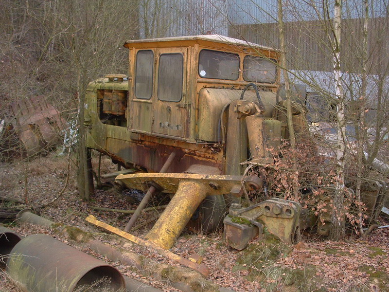 Bild 10023322.jpg