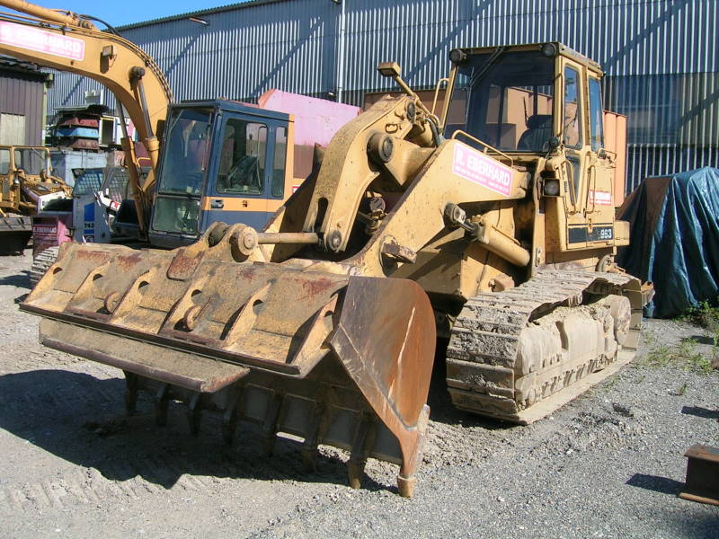 Cat 963.jpg