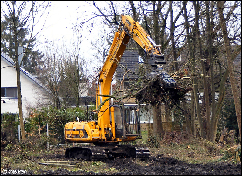 JCB220_BFF_2.jpg