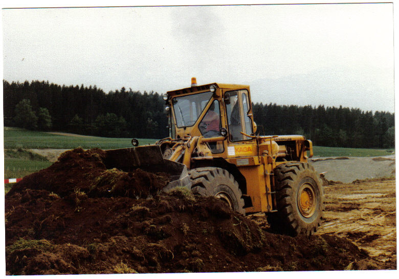 Cat 980 (7).jpg