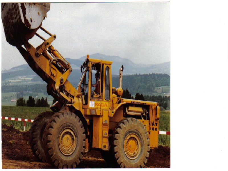 Cat 980 (8).jpg