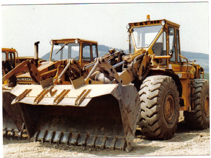 Cat 980 (10).jpg