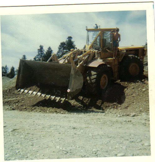 Cat 980 (11).jpg