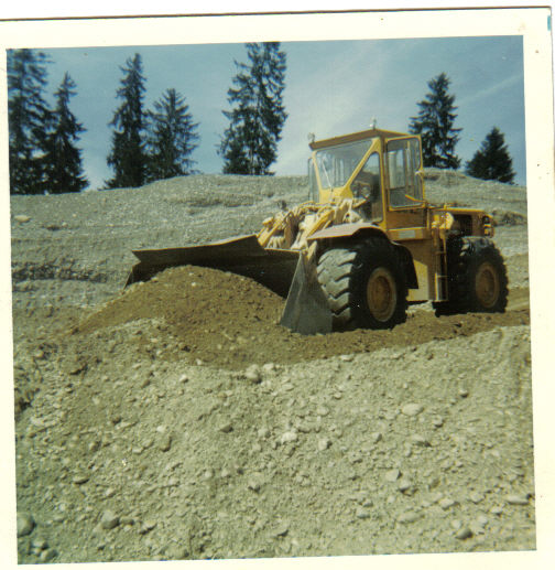 Cat 980 (12).jpg