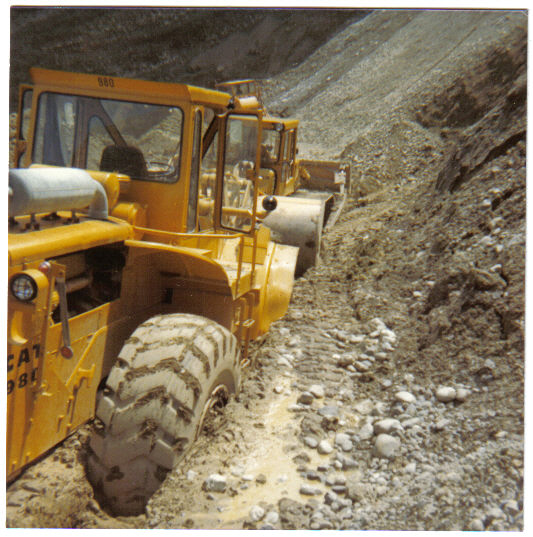 Cat 980 (13).jpg