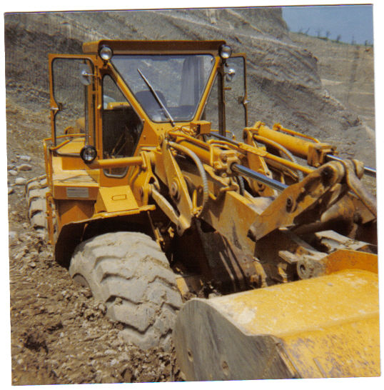 Cat 980 (14).jpg