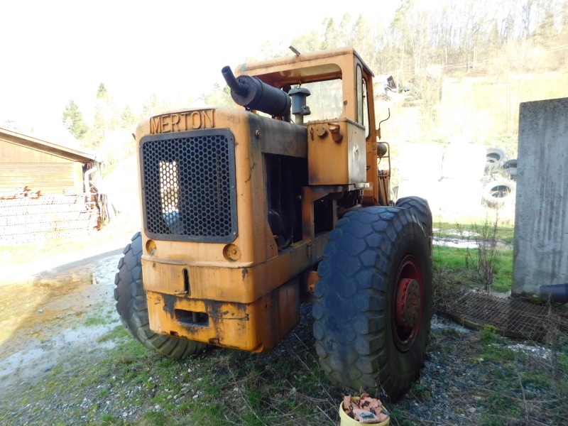 ok merton 002 (800x600).jpg