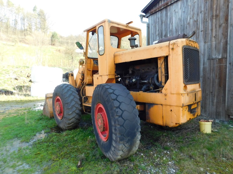 ok merton 004 (800x600).jpg