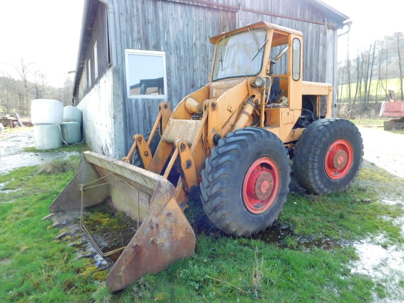 ok merton 005 (800x600).jpg