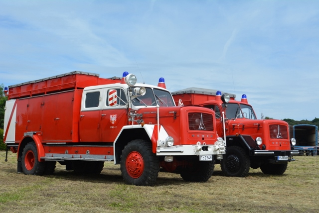 DSC_0411 (640x428).jpg