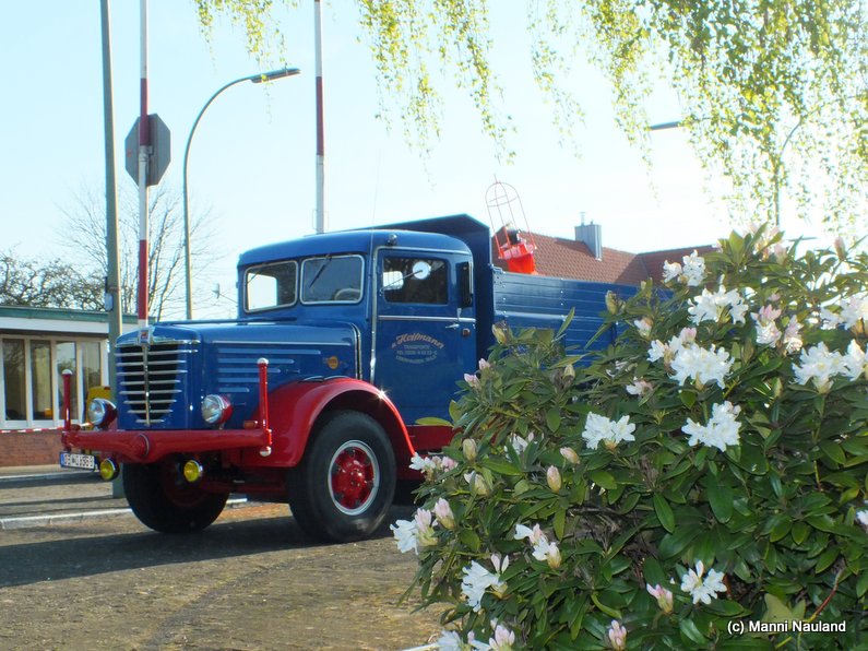 DSCF7330.jpg