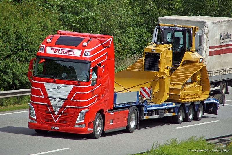 Volvo Vögel CAT DSC03489.jpg