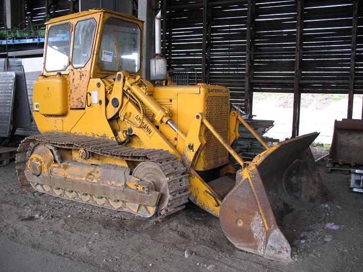 Cat 941.jpg