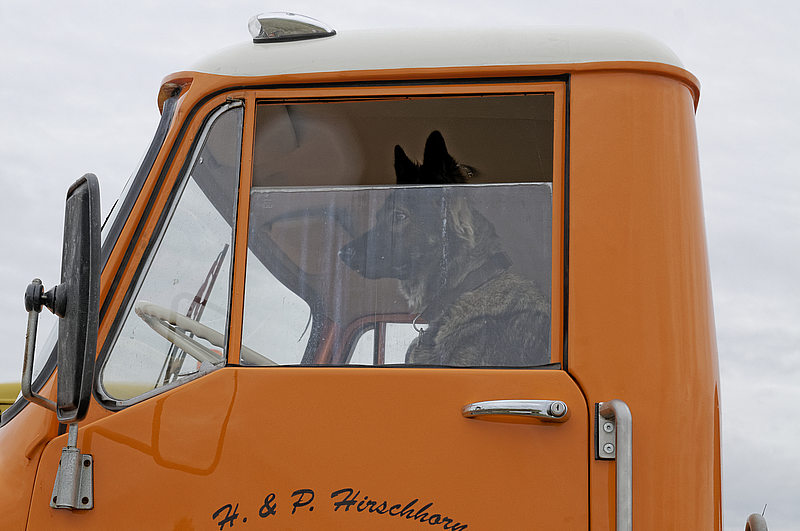 _DSC4922_DxO.jpg