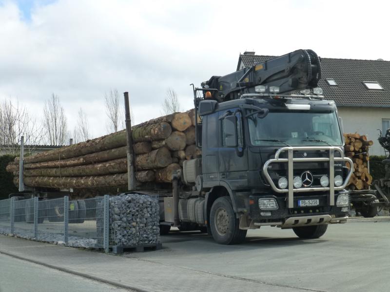 K800_MB Actros MP 3 Holzlaster 2.jpg