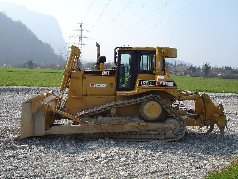 Cat D 7 R.jpg