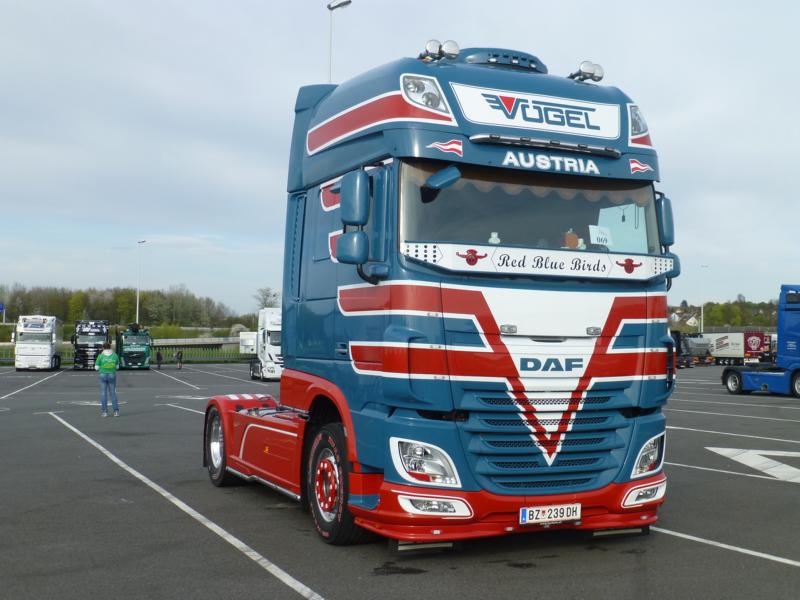 K800_DAF XF E6 Vögel 1.jpg