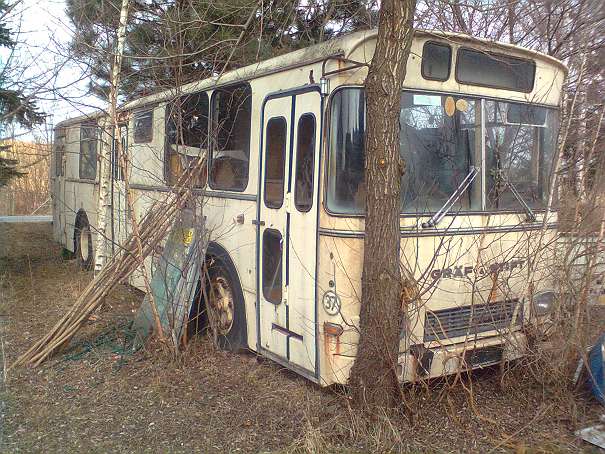 Gräf&Stift Autobus €2000.-Bj. 1972.jpg