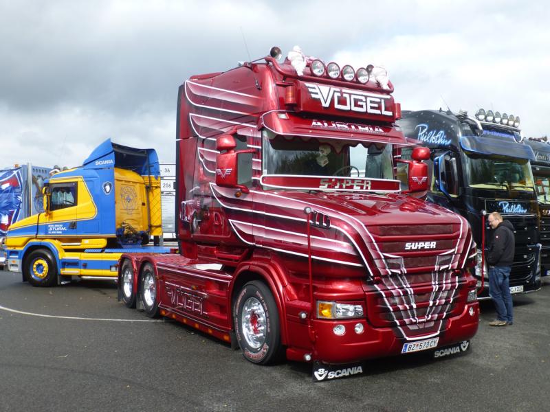 K800_Scania T Spedition Vögel 2.jpg