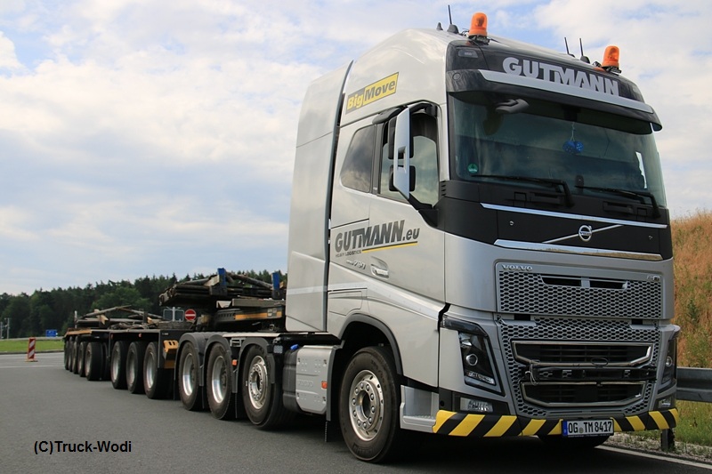 Big Move - Gutmann Volvo FH16.750 OG-TM 8417 2017 07 09 Aurach-NordWEB.jpg