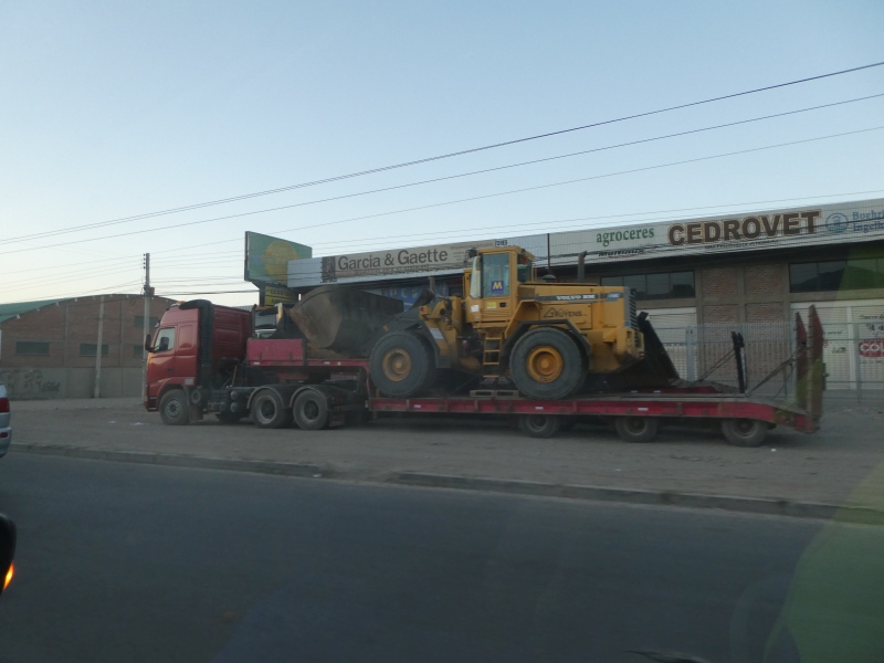 P1000646.jpg