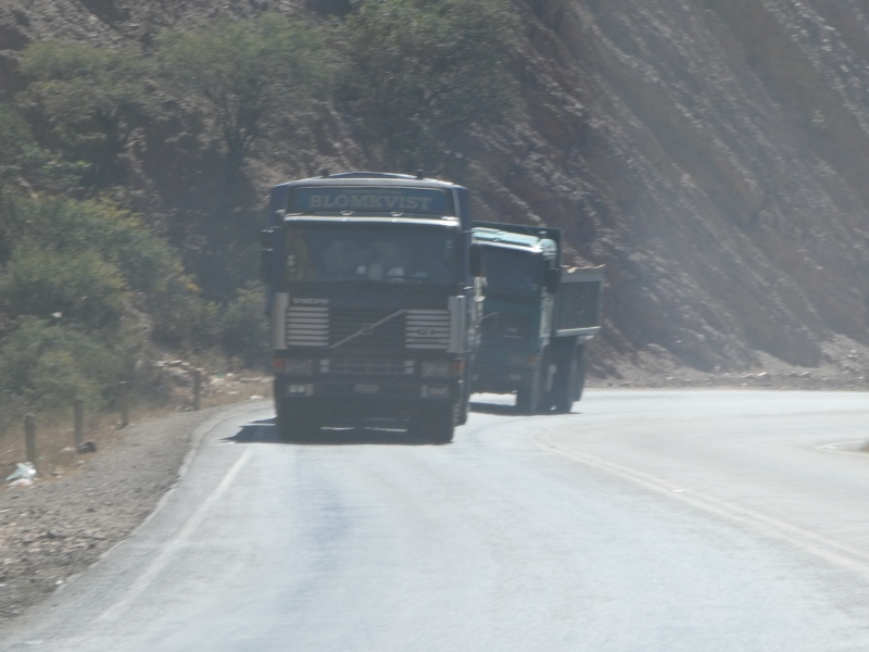 P1000393.jpg