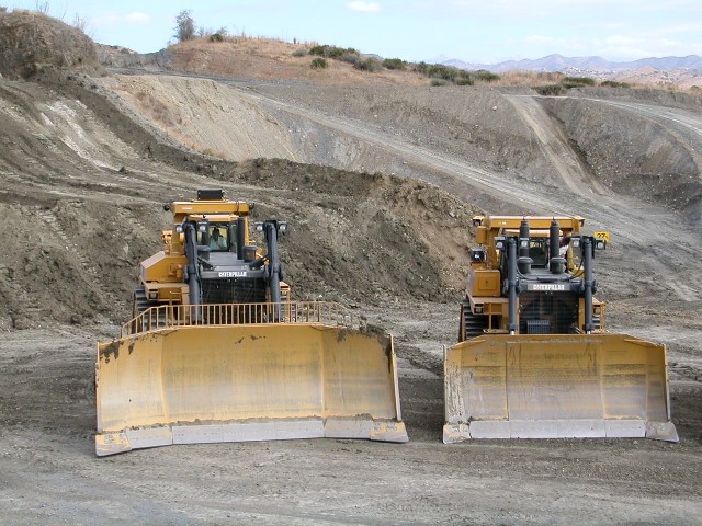 Cat - Dozer (1).jpg