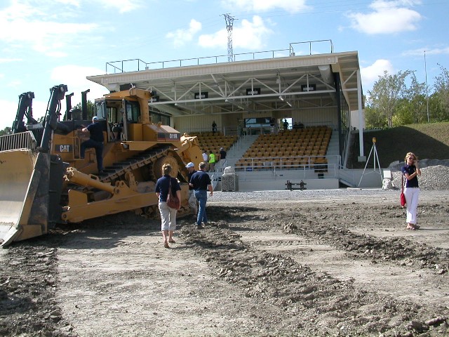 Cat - Dozer (5).jpg