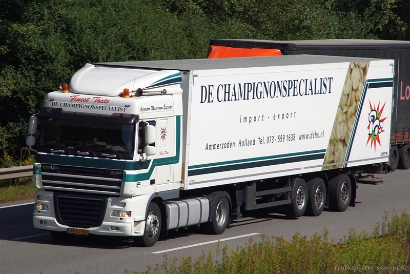 DAF Champignonspecialist DSC00827.jpg