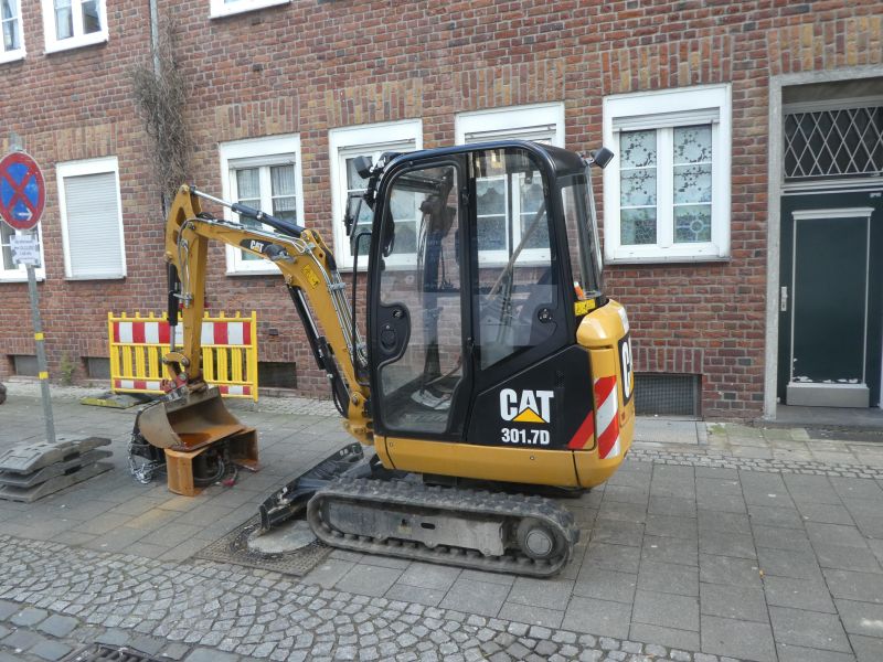 cat 301, 7.jpg