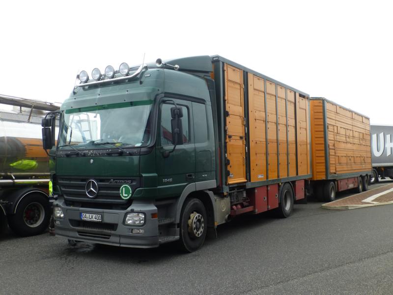 K800_MB Actros 1846 MP2 Viehtransporter 1.jpg