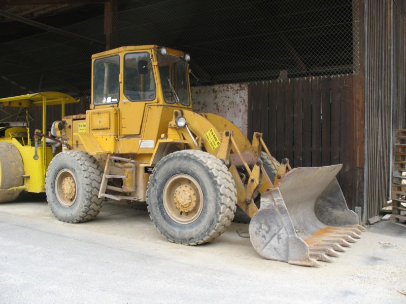 Cat 920.jpg