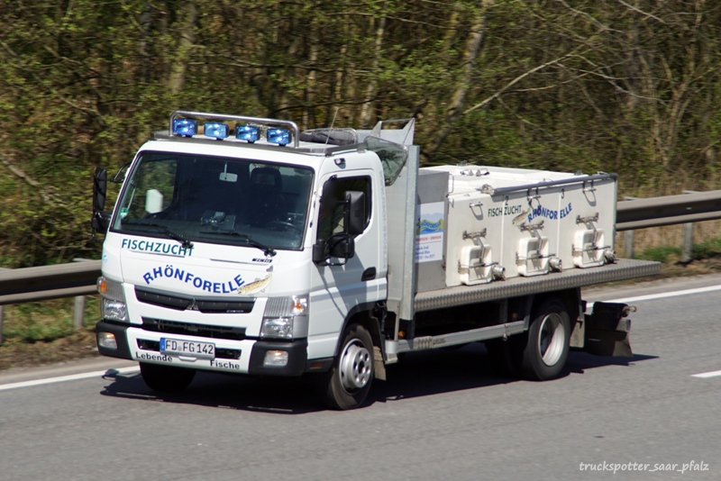 Mitsubishi Fuso Rhönforelle DSC07396.jpg