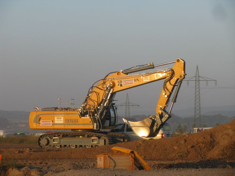 956.jpg
