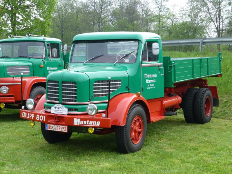 K800_Krupp 801 Mustang Mühlenbein 1.jpg