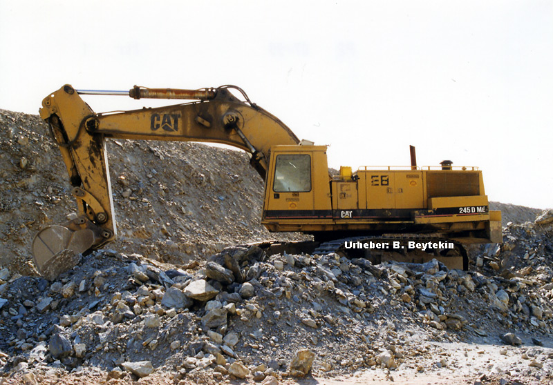 Cat_245D-ME_1.jpg