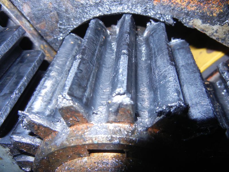 DSCN4837.jpg