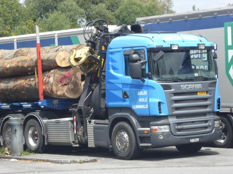 K800_Scania R500 Göldi Holz 1.jpg