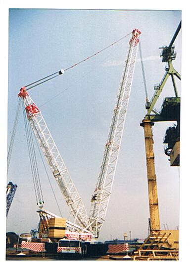 fahrenholz tc 001.jpg
