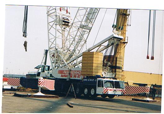 fahrenholz tc.jpg