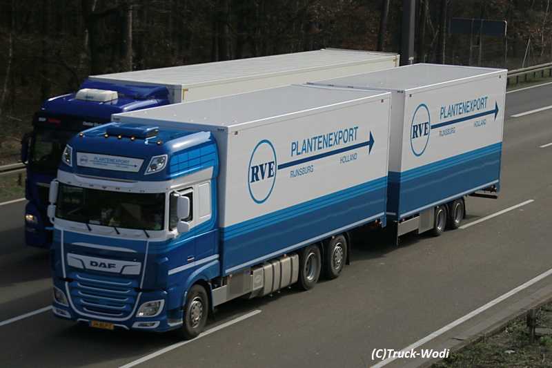 RVE Plantenexport DAF XF.480 34-BLP-7 2019 03 28 WeiskirchenWEB.jpg