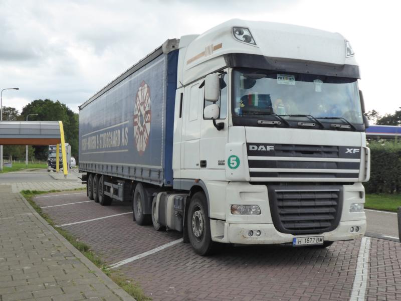 K800_DAF XF 105.460 Bulgarien 3.jpg