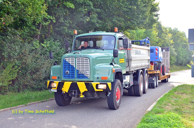 comp_DSC_7073_bearbeitet-1.jpg