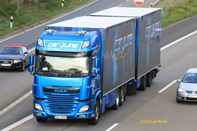 Caroline Flowers Transport DAF XF106.xxx 9T6-3650 2019 08 01 A3-AS HanauWEB.jpg